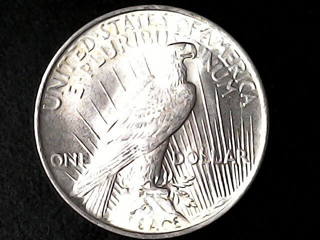 Silver eagle dollar coin