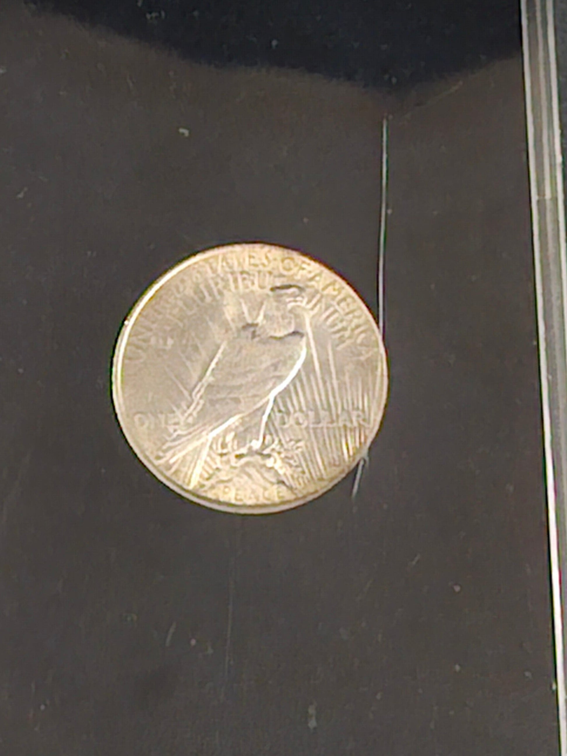 Silver coin in a clear display case on a black background
