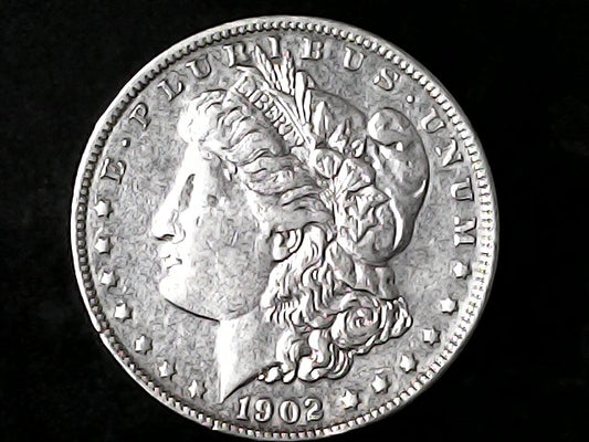 Silver Morgan Dollar Left-facing profile of Liberty wearing a Phrygian cap, with 'LIBERTY', "E PLURIBUS UNUM" and '1902' inscriptions on a black background with case