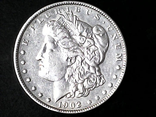 Silver Morgan Dollar Left-facing profile of Liberty wearing a Phrygian cap, with 'LIBERTY', "E PLURIBUS UNUM" and '1902' inscriptions on a black background with case