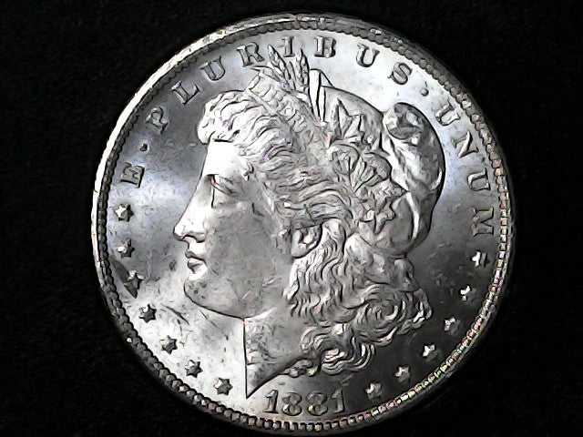 Silver Morgan Dollar Left-facing profile of Liberty wearing a Phrygian cap, with 'LIBERTY', "E PLURIBUS UNUM" and '1881' inscriptions on a black background with case