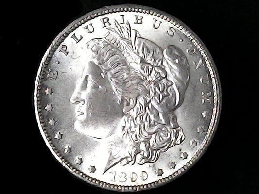 Silver Morgan Dollar Left-facing profile of Liberty wearing a Phrygian cap, with 'LIBERTY', "E PLURIBUS UNUM" and '1899' inscriptions on a black background with case