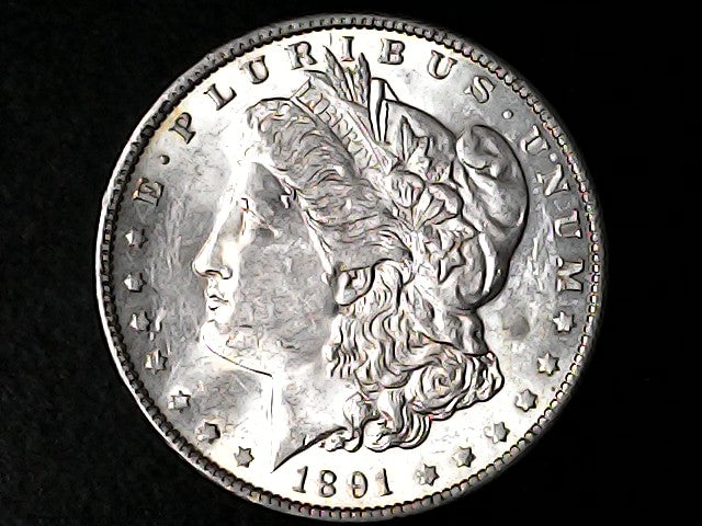 Silver Morgan Dollar Left-facing profile of Liberty wearing a Phrygian cap, with 'LIBERTY', "E PLURIBUS UNUM" and '1891' inscriptions on a black background with case