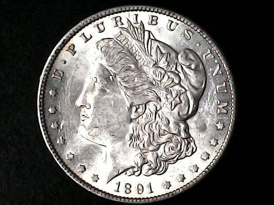 Silver Morgan Dollar Left-facing profile of Liberty wearing a Phrygian cap, with 'LIBERTY', "E PLURIBUS UNUM" and '1891' inscriptions on a black background with case