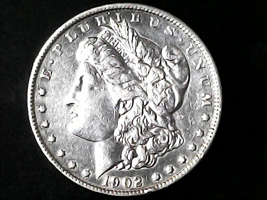 Silver Morgan Dollar Left-facing profile of Liberty wearing a Phrygian cap, with 'LIBERTY', "E PLURIBUS UNUM" and '1902' inscriptions on a black background with case