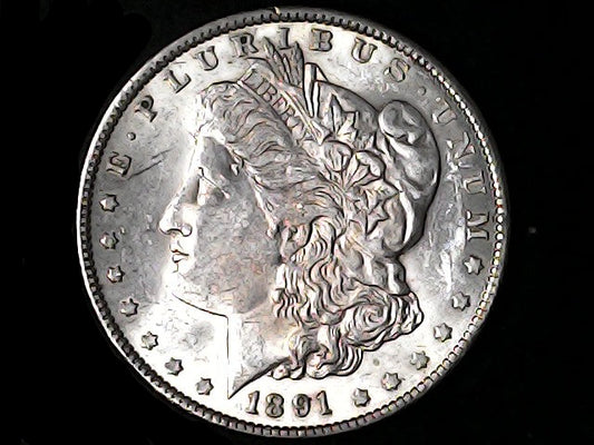Silver Morgan Dollar Left-facing profile of Liberty wearing a Phrygian cap, with 'LIBERTY', "E PLURIBUS UNUM" and '1891' inscriptions on a black background with case