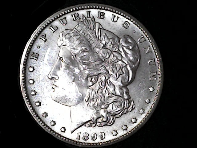 Silver Morgan Dollar Left-facing profile of Liberty wearing a Phrygian cap, with 'LIBERTY', "E PLURIBUS UNUM" and '1899' inscriptions on a black background with case