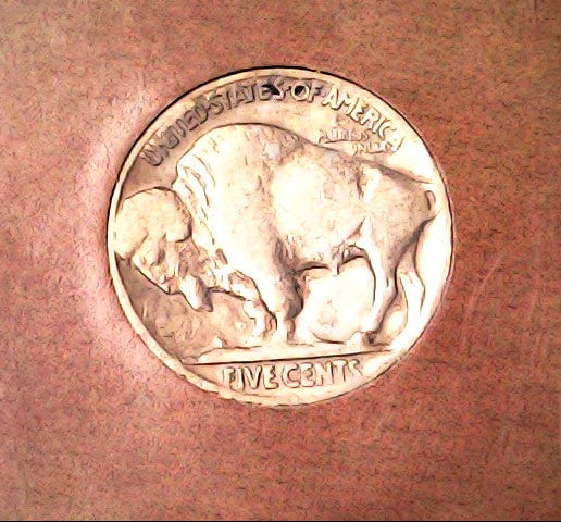 Buffalo nickel coin 