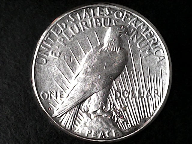 One Dollar silver dollar Peace with eagle design 