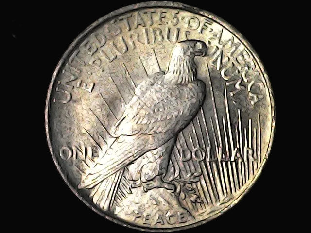 One Dollar silver dollar Peace with eagle design 